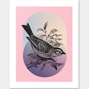 Bird on a Branch 03 Posters and Art